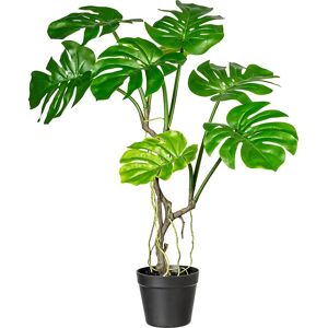 Splitphilodendron – kaiserkraft kaiserkraft