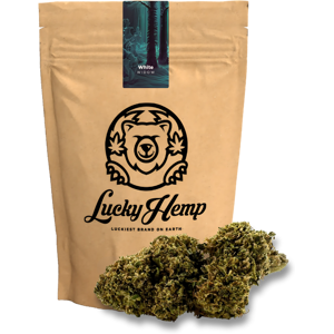 Lucky Hemp White Widow Ökopack 5g Lucky Hemp