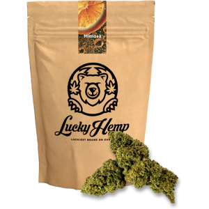 Lucky Hemp Mimosa Ökopack 10g Lucky Hemp