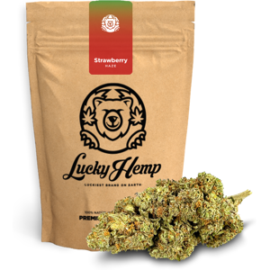 Lucky Hemp Strawberry Haze Ökopack 10g Lucky Hemp