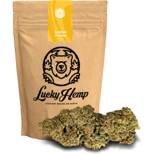 Lucky Hemp Lemon Gelato Ökopack 10g Lucky Hemp