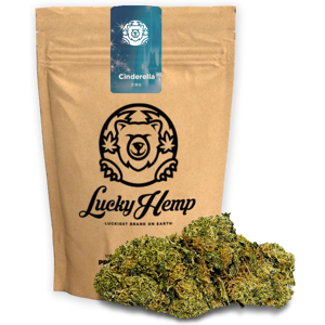 Lucky Hemp Cinderella CBG Ökopack 10g Lucky Hemp