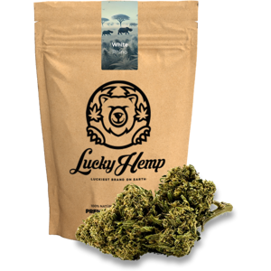 Lucky Hemp White Rhino Ökopack 5g Lucky Hemp