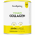 foodspring Vegan Collagen   138 g   Zitrone   Mit Vitamin C und Pflanzenextrakten   Veganes Collagen FOODSPRING